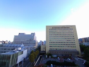 西１８丁目駅 徒歩2分 8階の物件内観写真